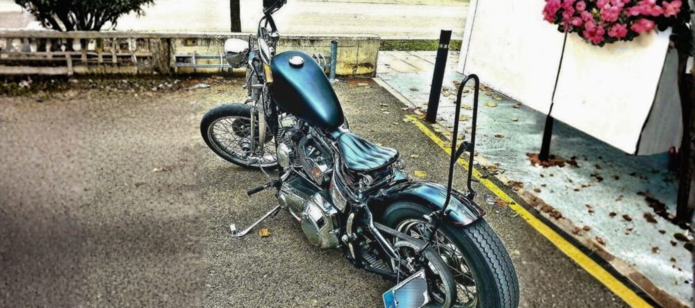 harley-davidson-homologada