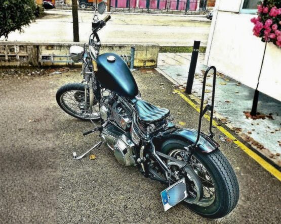 harley-davidson-homologada